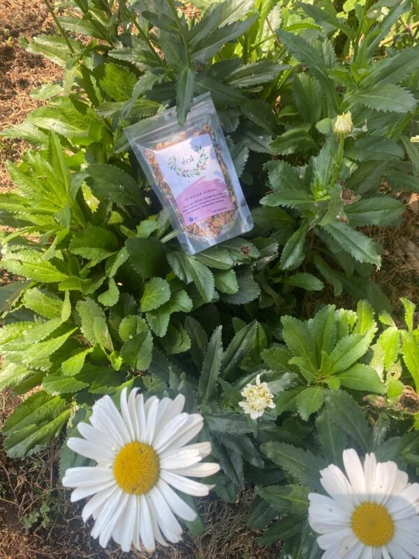 TISANA RELAX FLORAL - Image 6