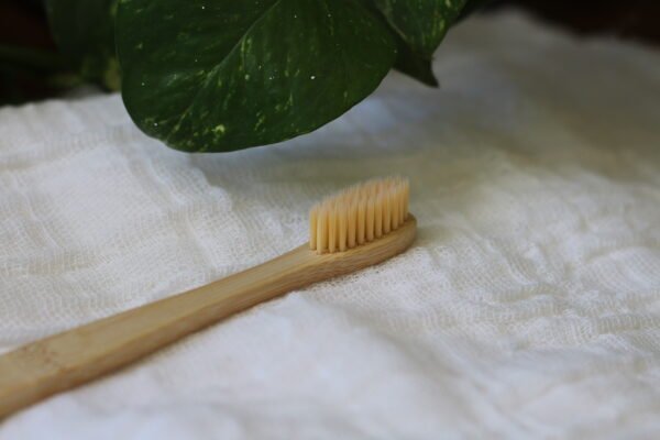 CEPILLO DENTAL