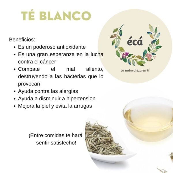 TÉ BLANCO - Image 4