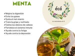 TÉ VERDE CON MENTA