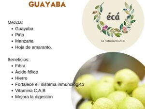 TISANA GUAYABA